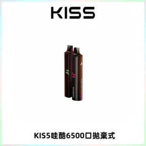 KIS5WAGOO哇酷6500口拋棄式 | 自由混搭雙口味 | 雙芯組合